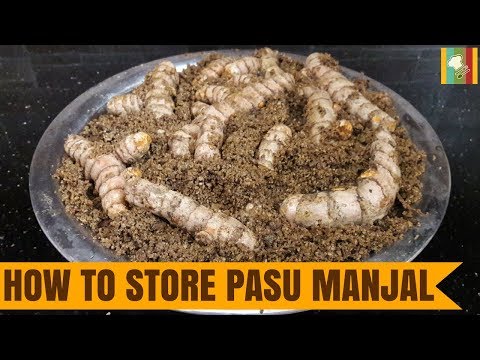 பசு மஞ்சளை எவ்வாறு பாதுகாப்பது? | How to Store Pasu Manjal?
