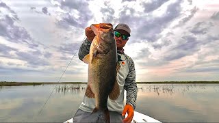 Fishing the POPPING FROG shootout on Lake Okeechobee! ( BIGS were caught )