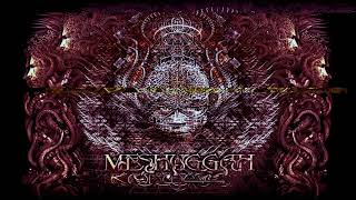 MESHUGGAH - DEMIURGE