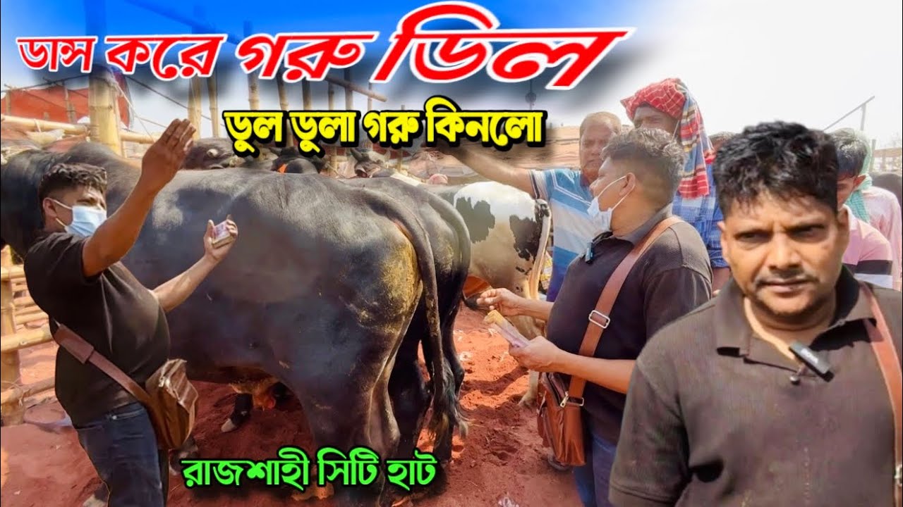 ডান্স করে গরু ডিল! ২ ঘণ্টা পরেই ডুল ডুলা গরু 😲 | ভাইরাল আকরাম ভাই | রাজশাহী সিটি হাট 