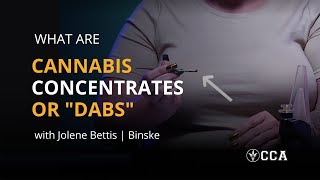 Cannabis Concentrates Explained | How to Dab Cannabis with Jolene Bettis