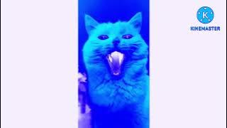 Cat Funny Sound Effects (Sponsored by Preview 2 Effects) In Chorded