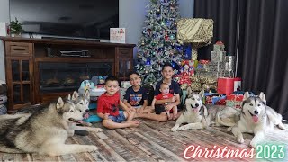 CHRISTMAS 2023! | LIFE WITH 4 HUSKIES & 4 SONS | OPENING PRESENTS | VLOG! by lishieandfamily 363 views 1 month ago 33 minutes