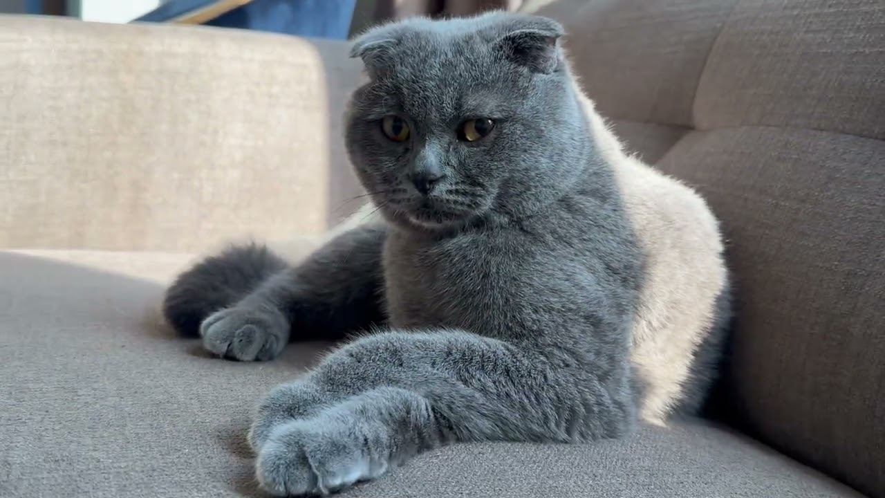 Catching some winter sun ☀️ 