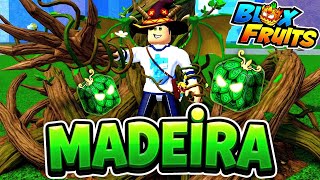 BLOX FRUITS ATUALIZOU! TÁ TUDO MUDANDO E FRUTA DÁ ÁRVORE VINDO?