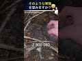 この男はカエルで世界を征服することを決意しました！