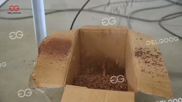 Automatic Peeling Machine for Cocoa and chocolate Processing