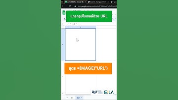 แทรกรูปในเซลล์ด้วย URL #googlesheets #googlesheetstips #easytricks #eilapsu #shorts #คลิปสั้น