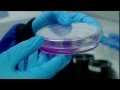 The Investigators -Series 2 - Episode 6 - Nanotechnology