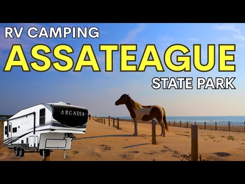 Family RV Trip to Assateague State Park Campground ~ Horses, Beaches, and fun East Coast Camping! — Ocean City, Maryland