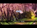22428   Juliet   安全地帯
