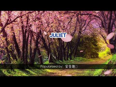 22428   Juliet   安全地帯