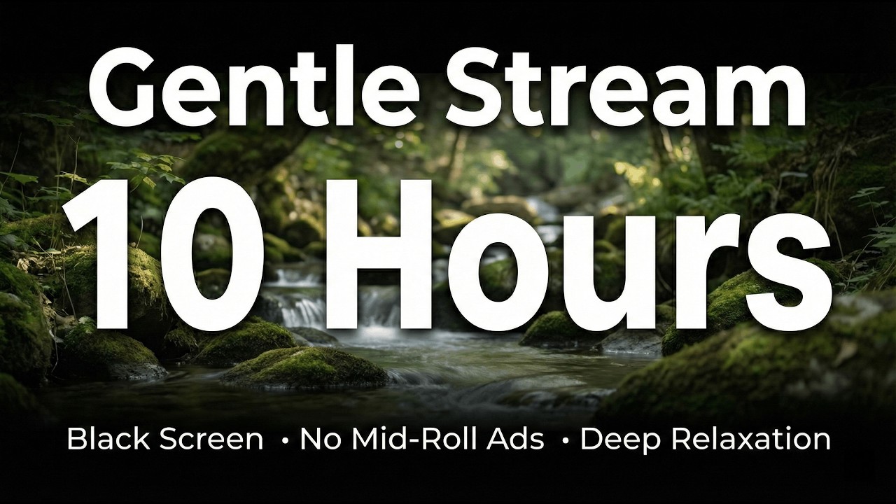 Gentle Stream 10 Hours Black Screen | Study, Sleep, Focus, Relax | Deep Rest