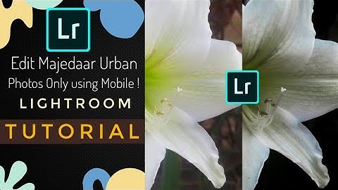 Edit Majedaar Urban Photos Only using Mobile ! Lightroom Tutorial