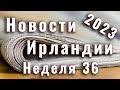 Новости Ирландии. 2023. Неделя 36