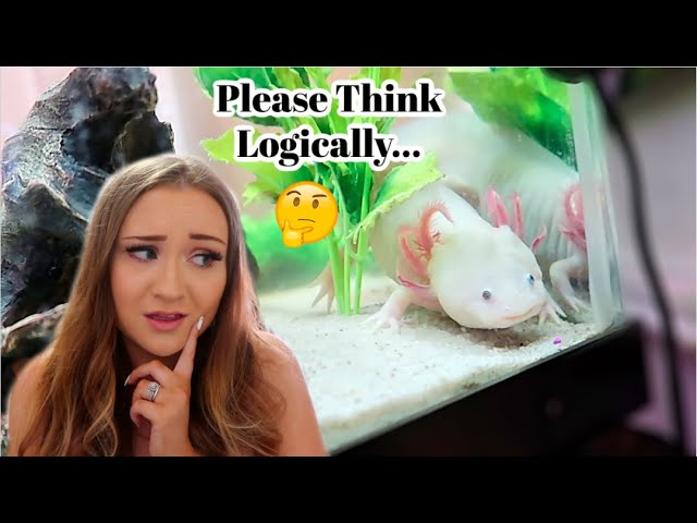 PLEASE THINK LOGICALLY WHEN IT COMES TO AXOLOTLS.... Telling it like it is | ItsAnnaLouise