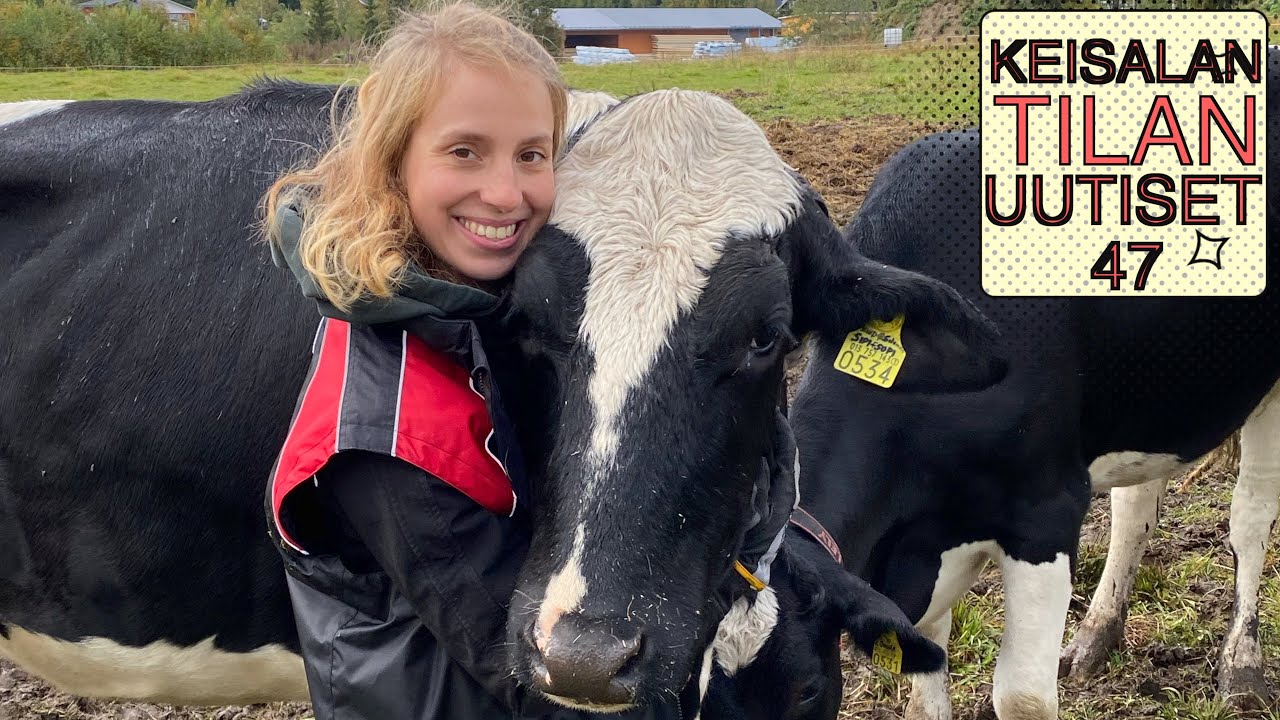 Laidunnus loppui, traktori rikki, kilpailut