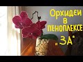 ОБЗОР ОРХИДЕЙ В ПЕНОПЛЕКСЕ. ИТОГИ 2-Х МЕСЯЦЕВ.