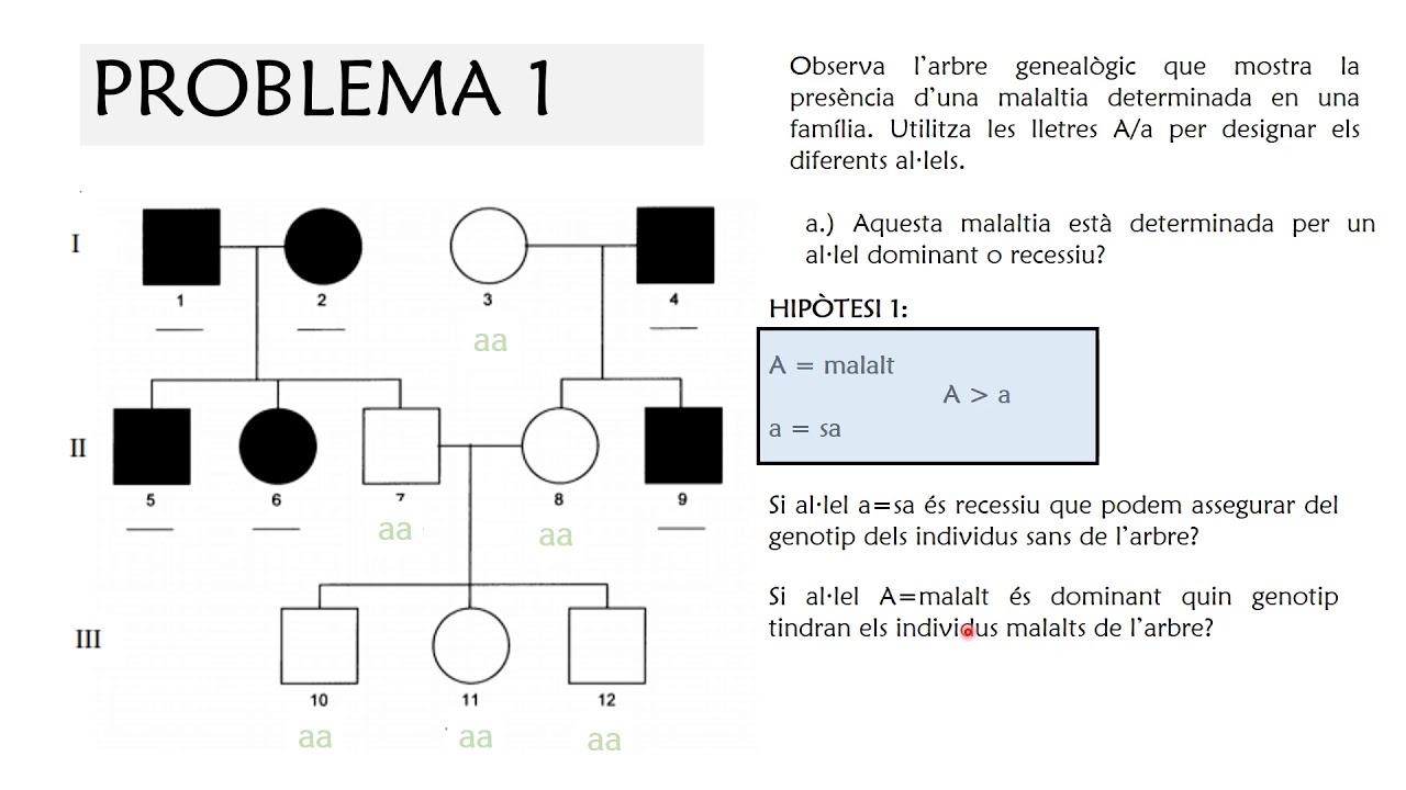 COM RESOLDRE PROBLEMES DE GENÈTICA III