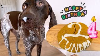 My Dog Is Officially 24 Years Old *Where Did All The Time Go? by Tundra The GSP 3,219 views 8 months ago 5 minutes, 16 seconds