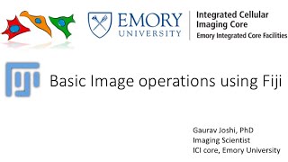 Celebrity Basic Image Operations using Fiji / Image Net Worth