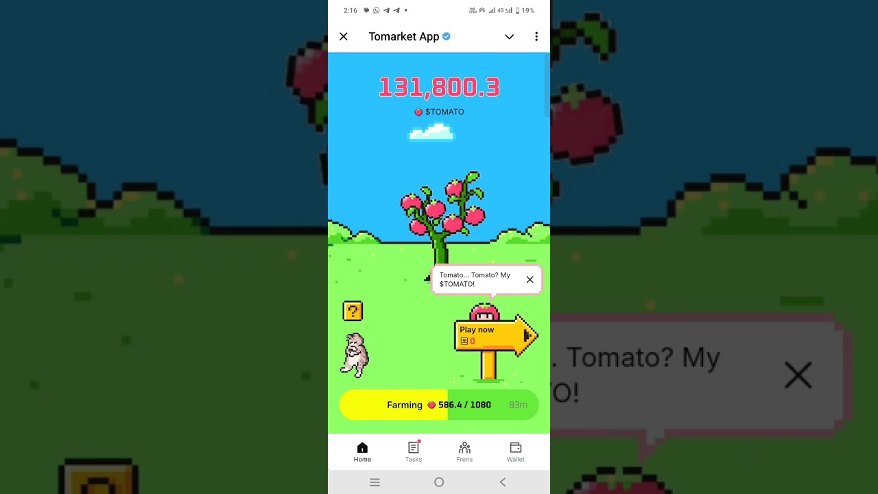 Tomarket Airdrop claim connect wallet problem