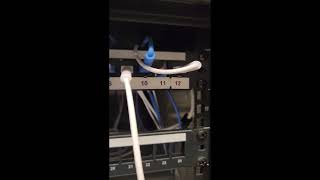 Why You Should Double Check an Electrician’s Network Cabling Work