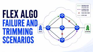 Celebrity Segment Routing Flex Algo Failure and Trimming Scenarios Wealth