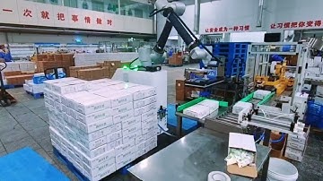 Collaborative palletizing workstation