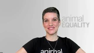 Animal Equality Presents: The Power of You