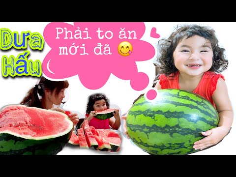Video #58☘Đại tiệc Dưa hấu khổng lồ ???? Miu tham ăn, cái gì... - youtube