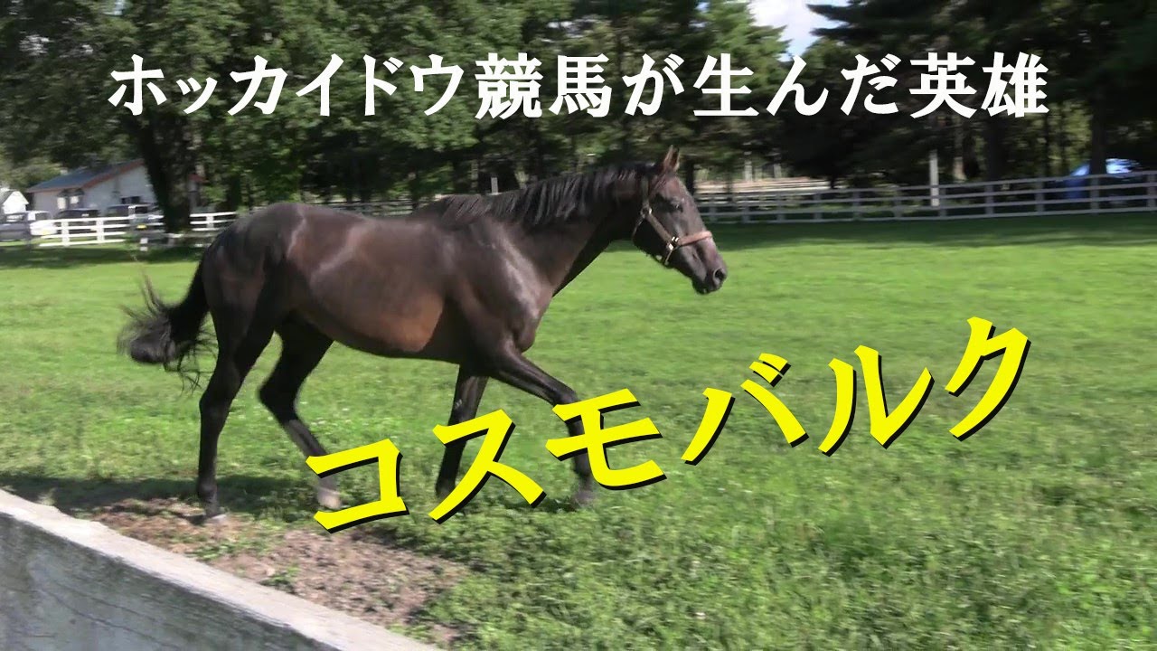 ホッカイドウ競馬が生んだ英雄 コスモバルク Cosmo Bulk - YouTube