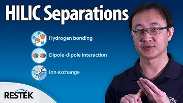 Understanding the HILIC Separation Method in LC