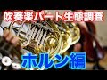 【吹奏楽】吹奏楽部 パート生態調査『ホルンパート編』