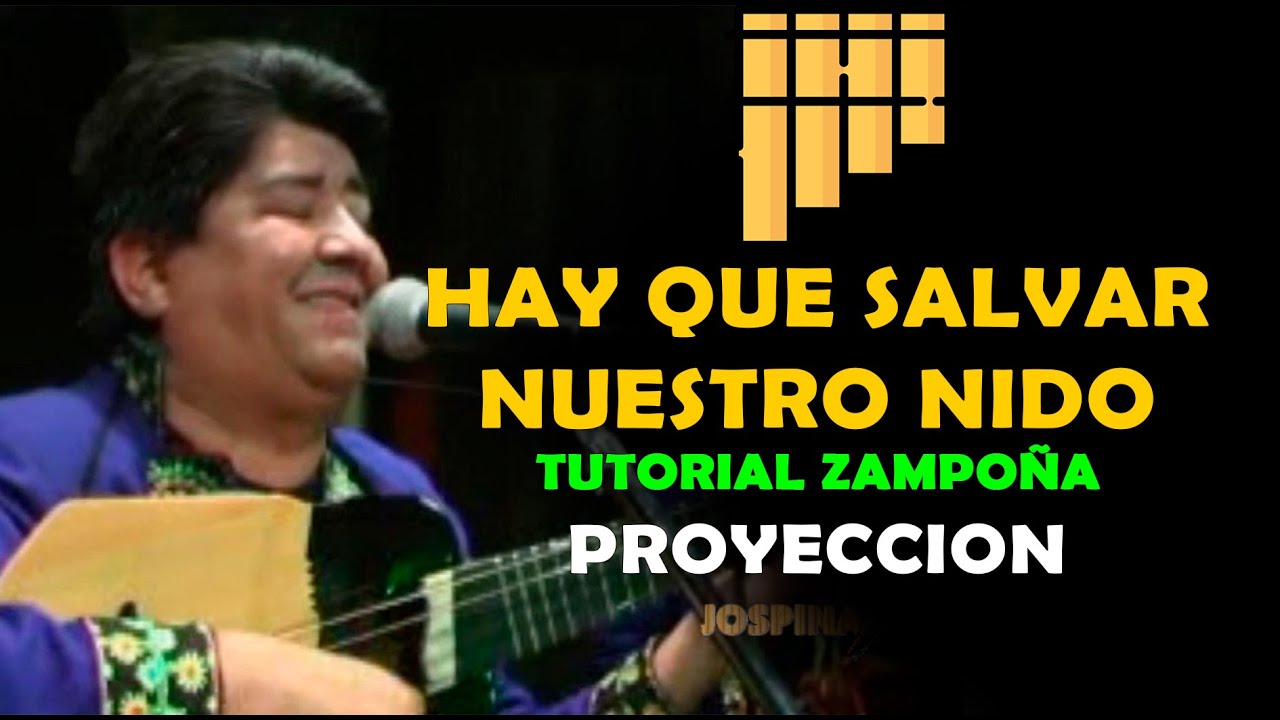 Hay que salvar nuestro nido - Proyección | Tutorial zampoña | Panflute cover