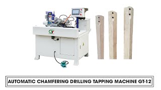 AUTOMATIC CHAMFERING DRILLING TAPPING MACHINE GT-12, GOODTECH MACHINERY