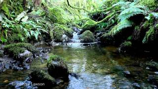 RELAXATION MUSIC-la música de relajación-música de relaxamento-musique de relaxation-relax musica