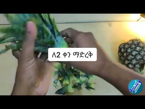 ቪዲዮ: Cucumbers Lyutoyar፡ግምገማዎች፣ፎቶዎች ከመግለጫ ጋር፣ምርታማነት