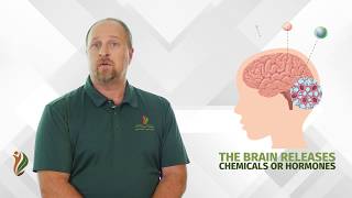 The Science of Your Loved One's Addictions | A Better Today Recovery Services