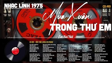 [CD489] Mở Nhẹ Nhàng Lk Nhạc Vàng Hải Ngoại Xưa Bất Hủ Còn Mãi Theo Thời Gian| Hữu Thái Lossless