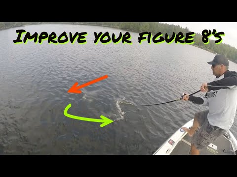 COMMON FIGURE 8 MISTAKES IN MUSKY FISHING! And how to improve your