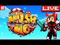 Jogando bedwars no mush!