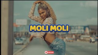 Moli Moli  Afrobeat X Afropop Type Beat  Vibey Instrumental