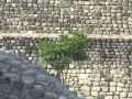 Bitácora del Arqueólogo Cap XI. Xochicalco,  Morelos