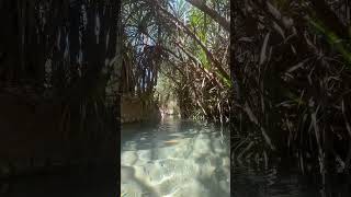 Enjoy the Katherine Hot Springs