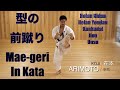 Mae-geri in Kata.　型の前蹴り (Heian Nidan, Heian Yondan, Kanku Dai, Jion, Unsu)