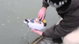 Pro Boat Rc Duck brushless conversion