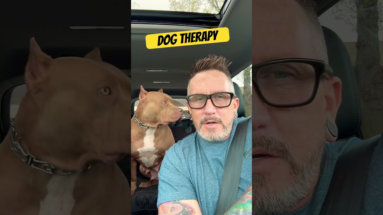 XL BULLY DOG THERAPY 