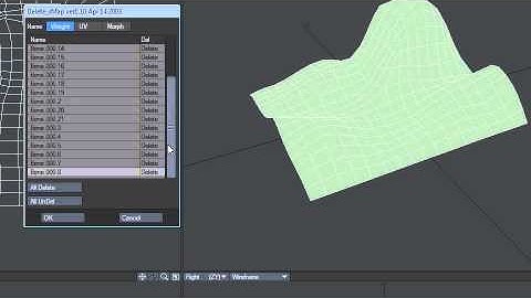 LightWave plugin - Delete Map