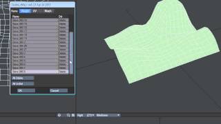 LightWave plugin - Delete Map